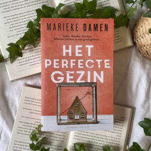 Het perfecte gezin - Marieke Damen
