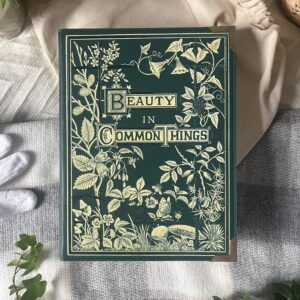 Book Bag Beauty in Common Things