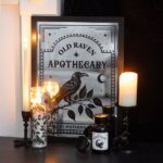 Buiskaars 'Mystic Raven Gothic Deadly Nightshade'