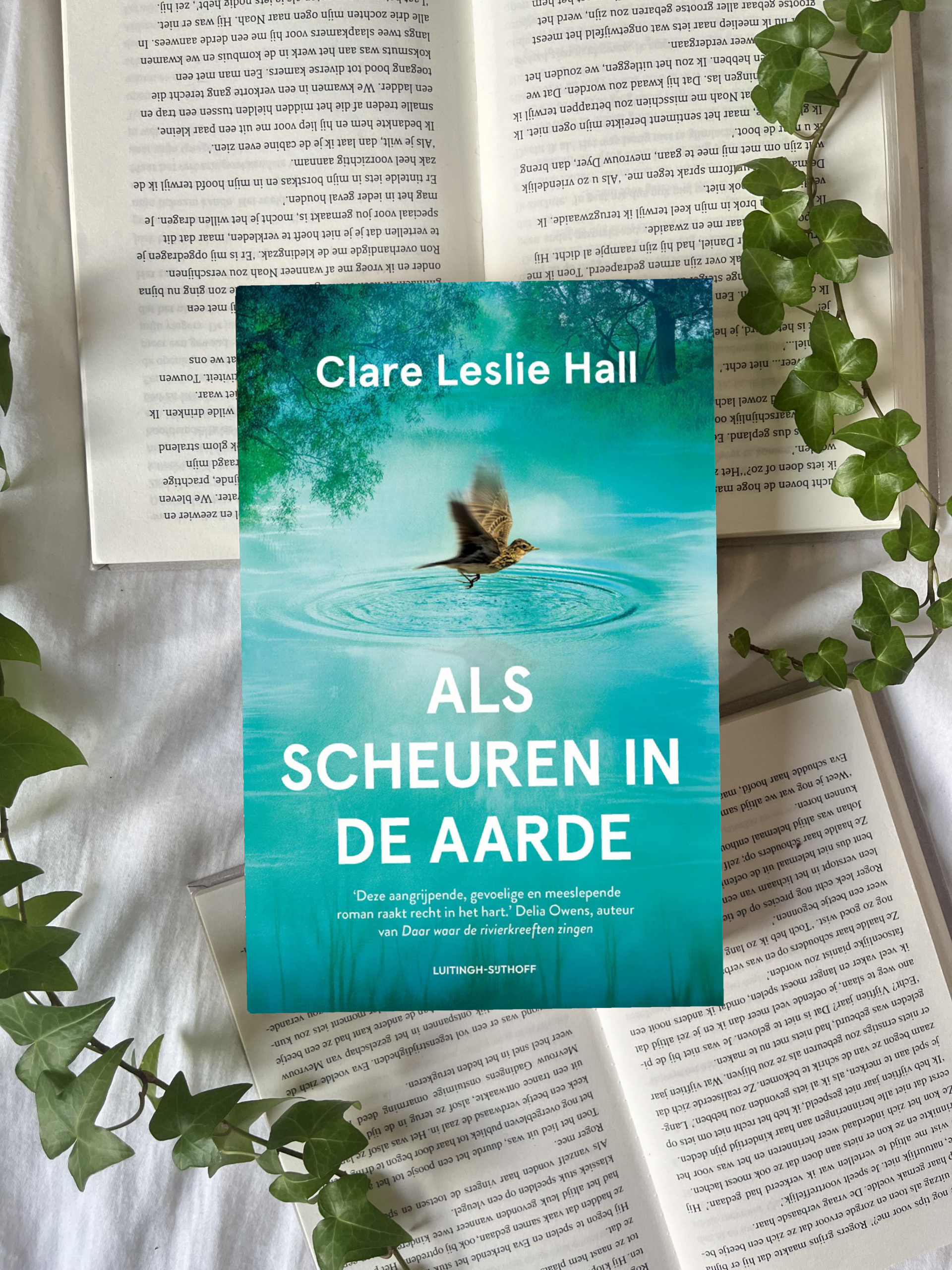 Als scheuren in de aarde - Clare Leslie Hall