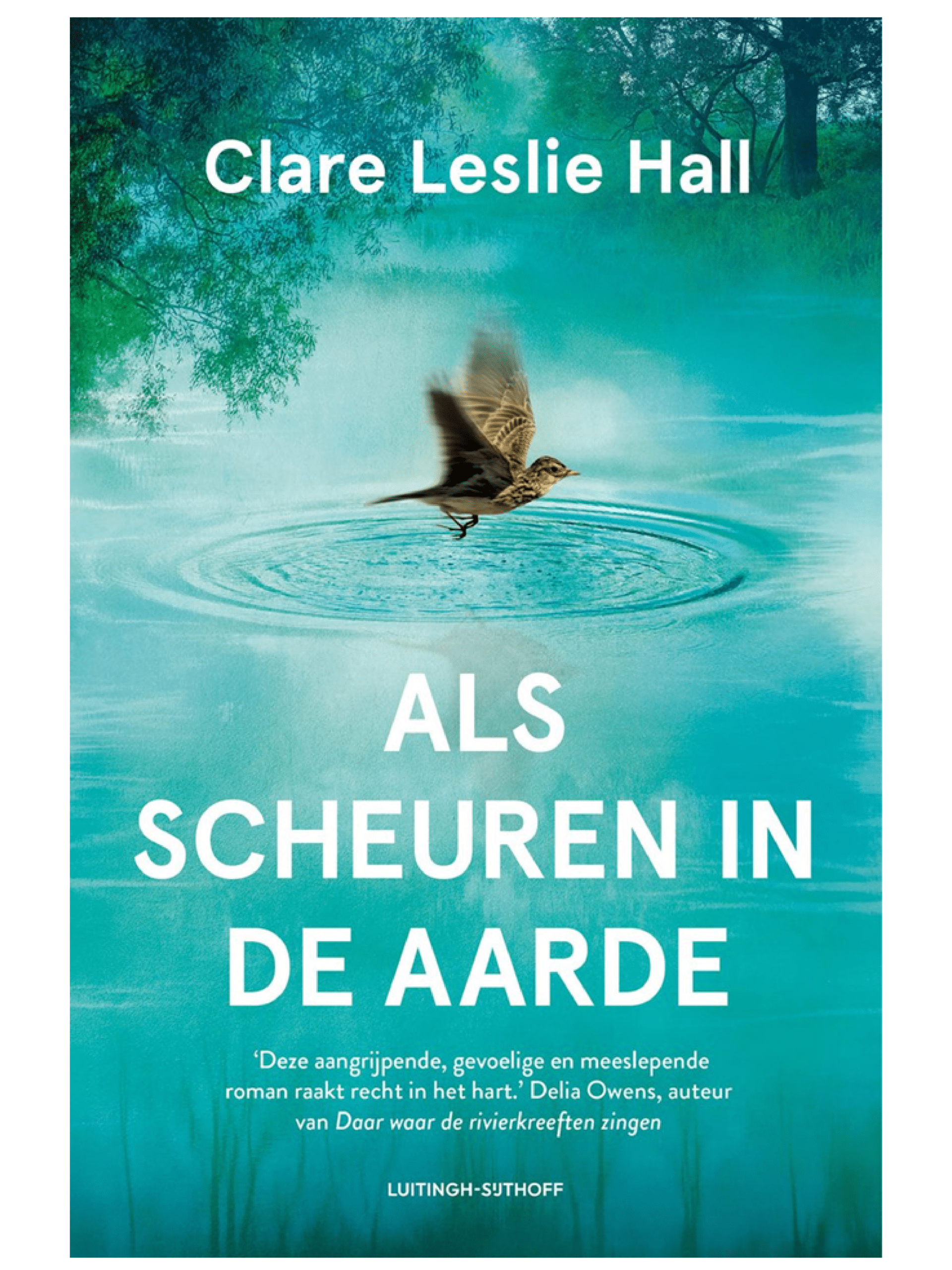 Als scheuren in de aarde - Clare Leslie Hall
