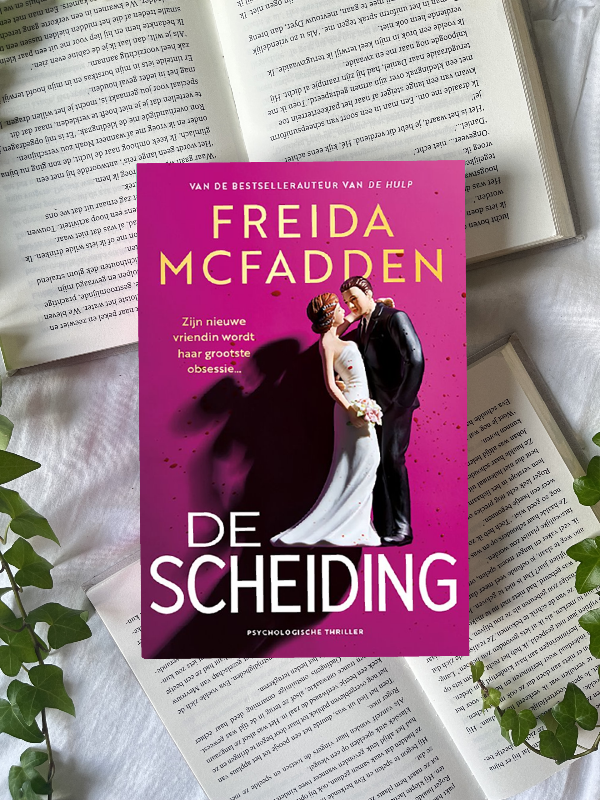 De scheiding - Freida Mcfadden