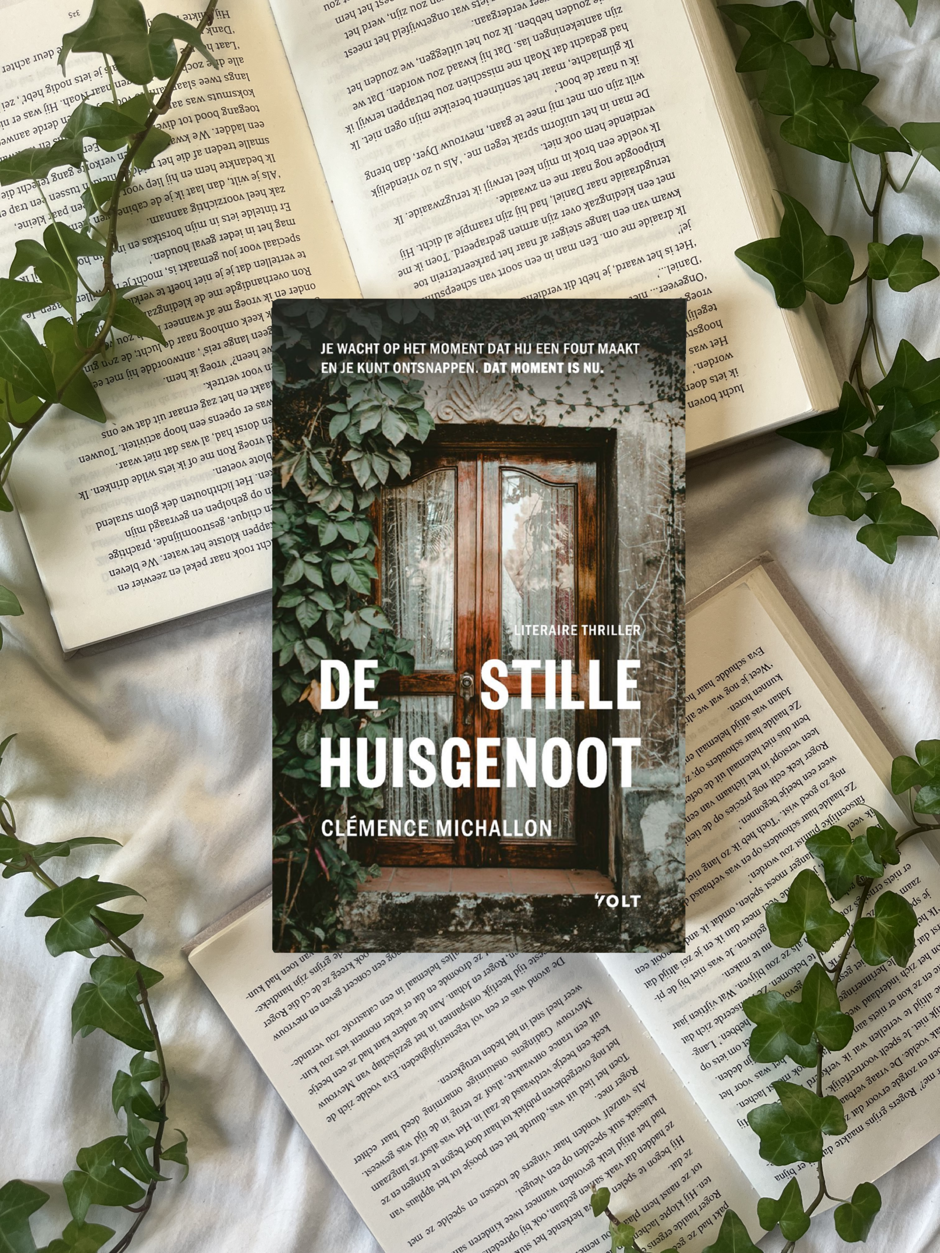 De stille huisgenoot - Clémence Michallon