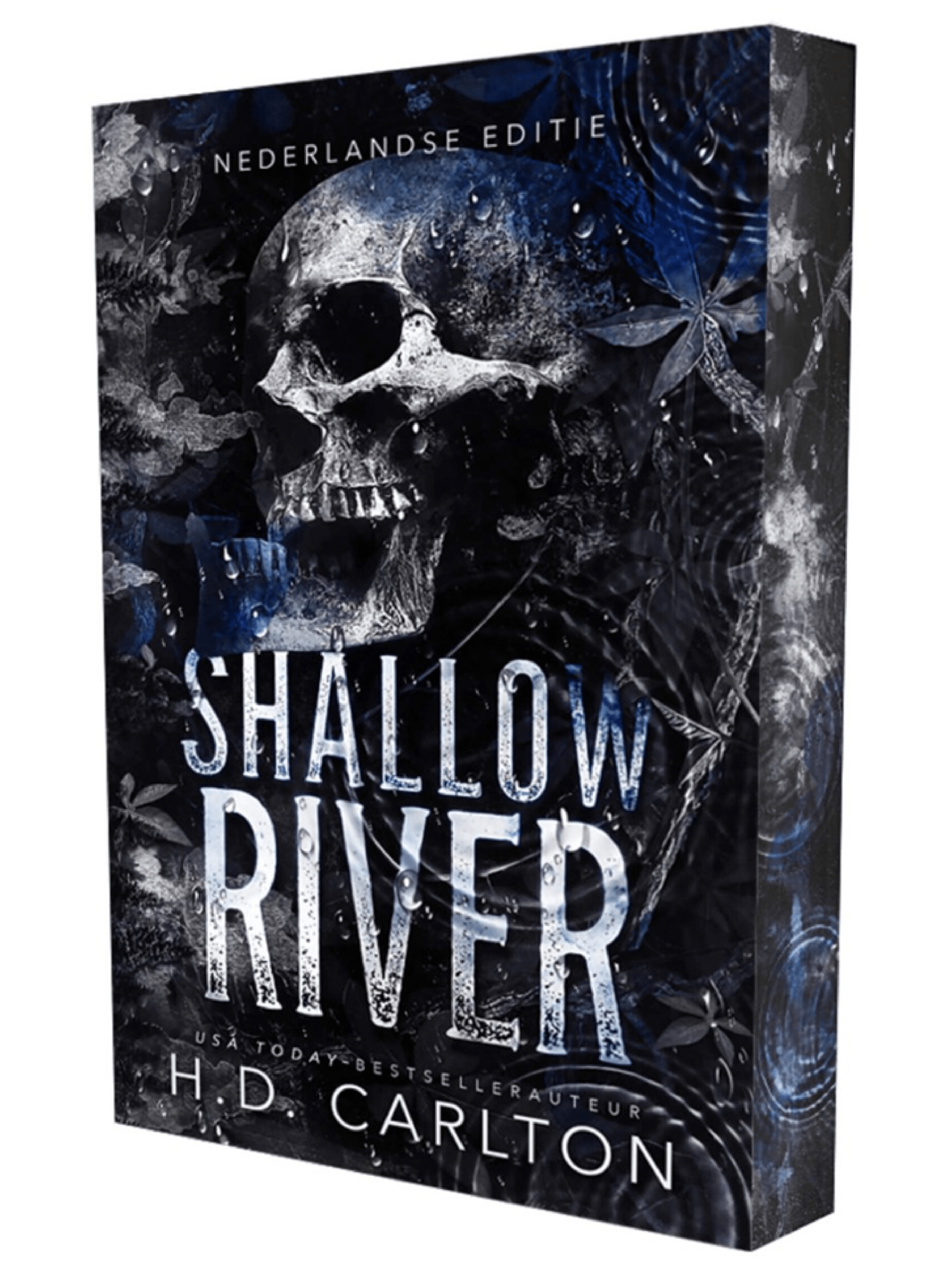 Shallow river - H.D. Carlton
