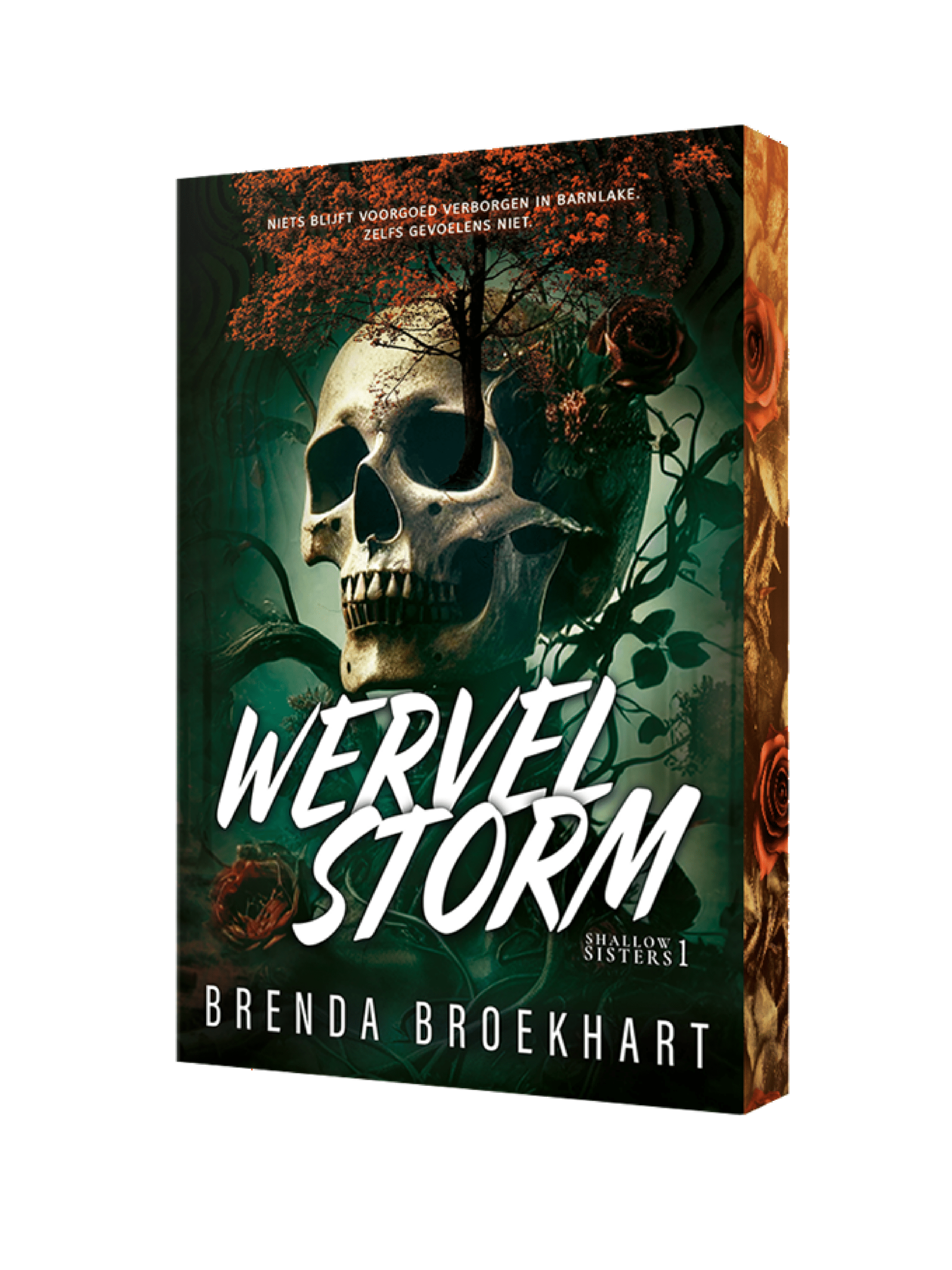 Wervelstorm - Brenda Broekhart